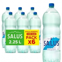 Funda Salus Agua con Gas 2.25LT x6