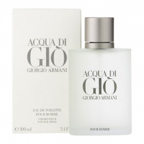 Perfume Acqua Di Gio Homme EDT 100 ML